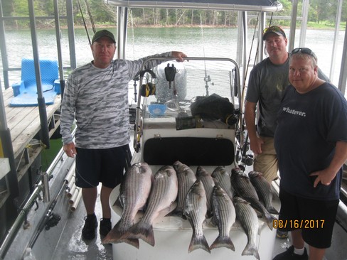 Nice Striped Bass